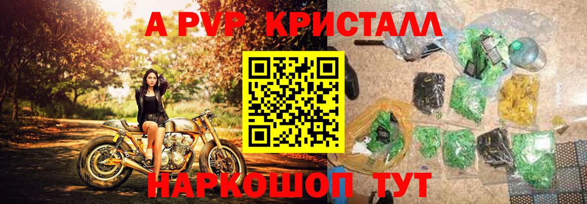 A PVP СК КРИС Псков