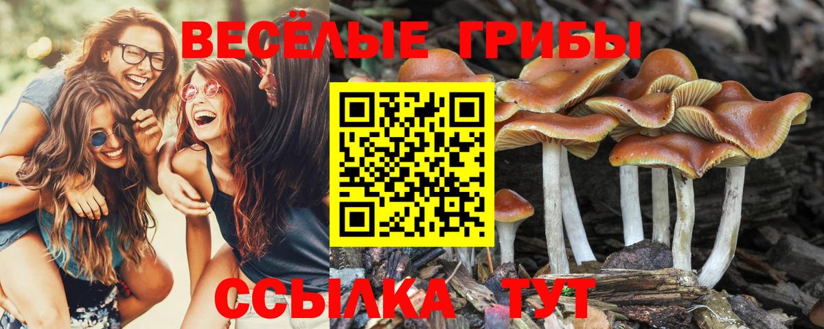 Псилоцибиновые грибы Psilocybe  Псилоцибиновые грибы Cubensis  Вход с VPN  Псков 